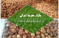 خرما زاهدی صادراتی در عمده فروشی