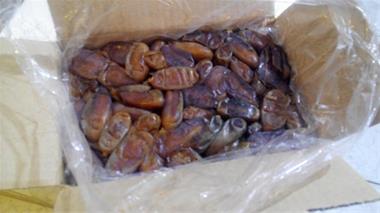 خرما شاهانی