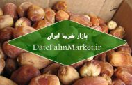 انواع خرما زاهدی در بازار داخلی و خارجی