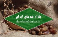 خرمای شاهانی جهرم بصورت عمده