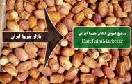 تولید خرما زاهدی جهت صادرات