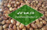خرید و فروش خرما زاهدی خوزستان