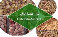 فروش خرما زاهدی درجه یک صادراتی