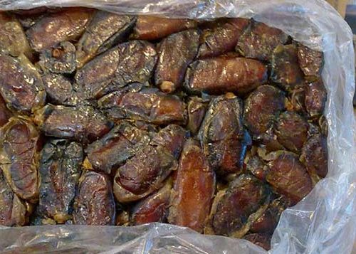 قیمت خرما شاهانی صادراتی جهرم