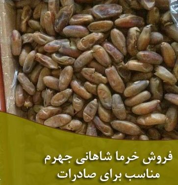 خرما شاهانی صادراتی