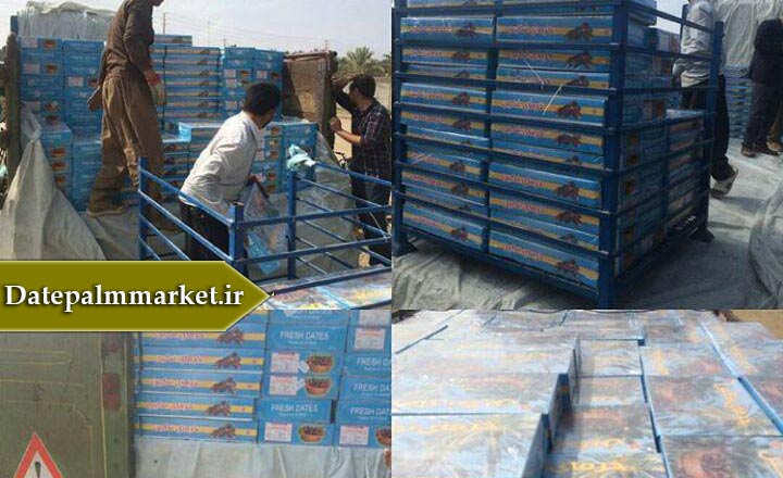 فروش خرما