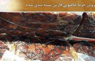 فروش خرما خاصویی فارس بسته بندی شده