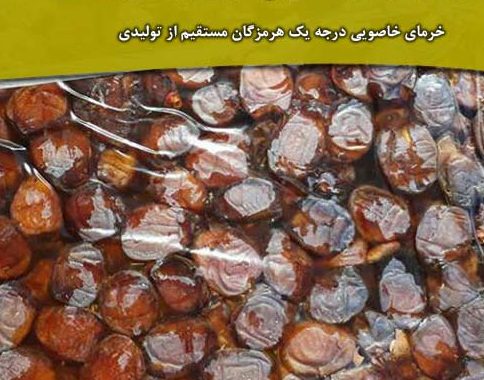خرید خرمای خاصویی هرمزگان