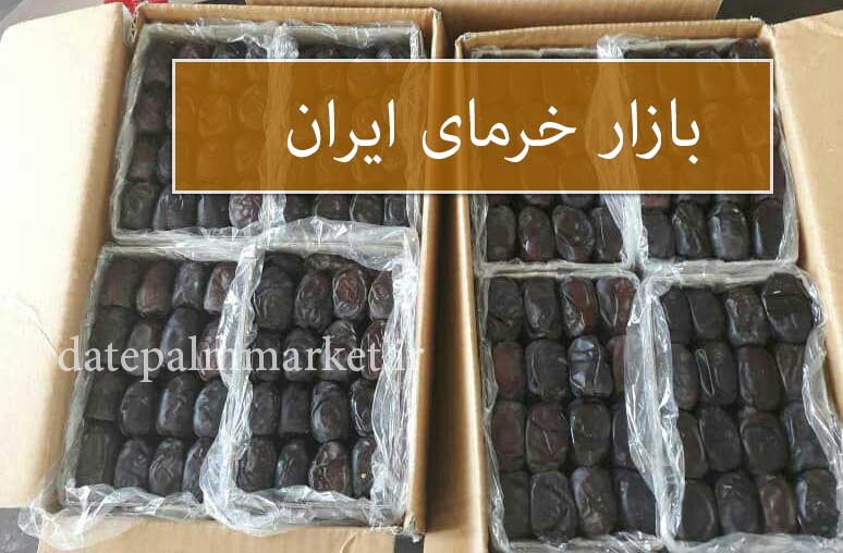 فروش خرما مضافتی