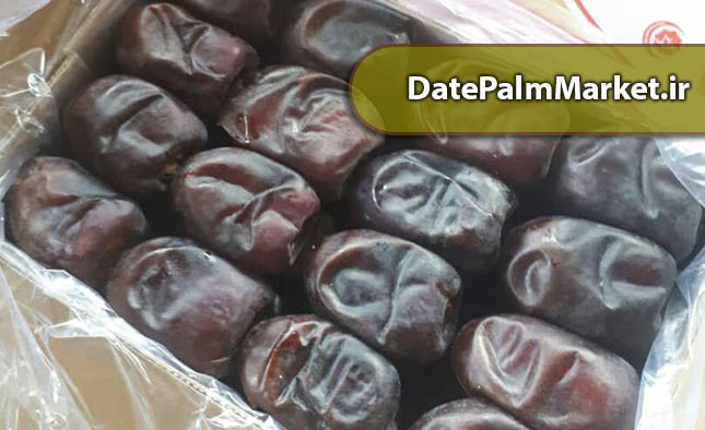 خرید خرما مضافتی