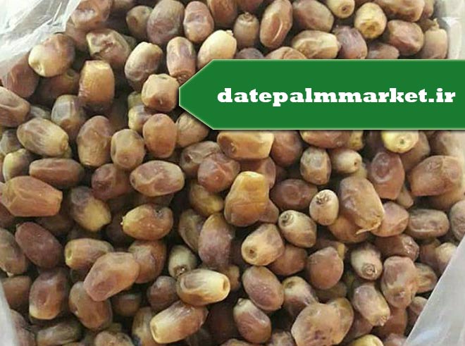 فروش خرما زاهدی