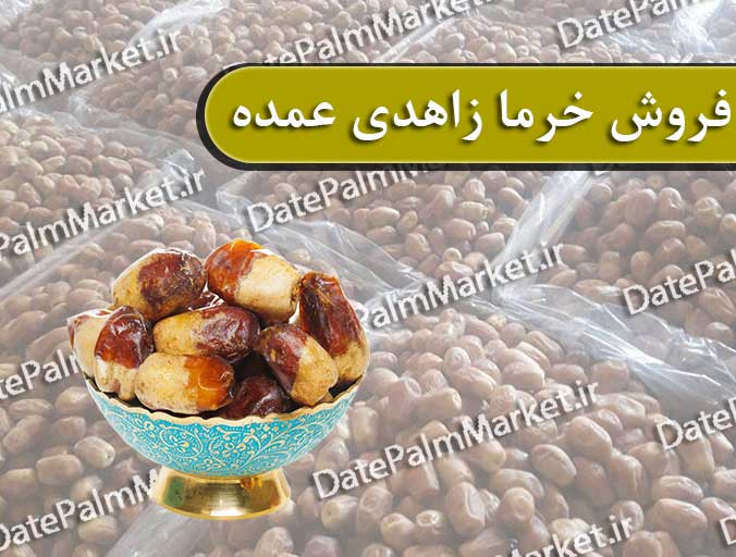 عرضه خرمای زاهدی در مشهد