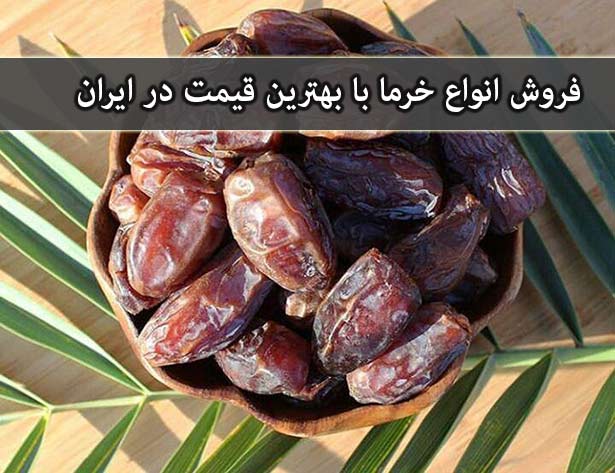 قیمت عمده خرما