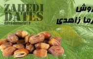 خرید خرما زاهدی جهرم عمده