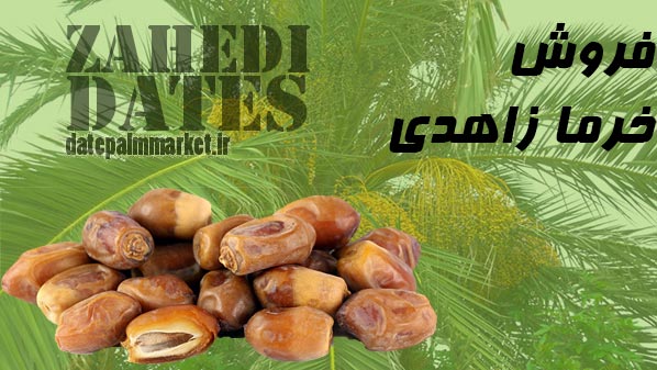 خرید خرما زاهدی جهرم عمده