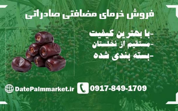 خرید خرما مضافتی صادراتی با کیفیت