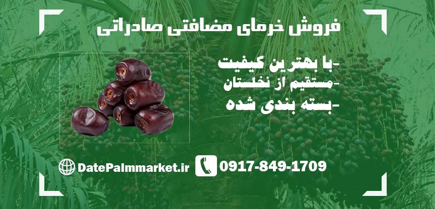 خرید خرما مضافتی صادراتی با کیفیت