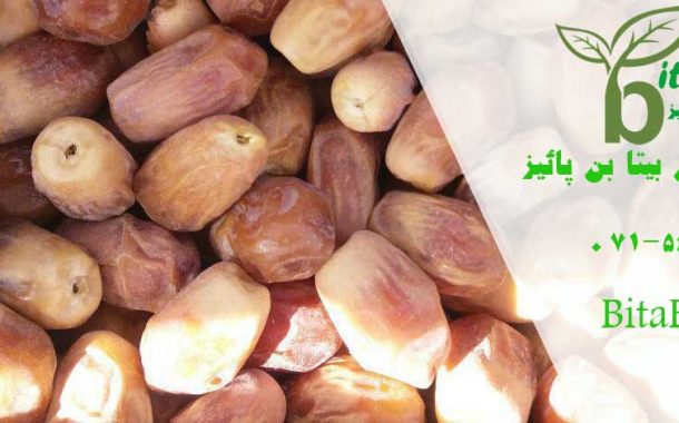 قیمت خرما زاهدی در بوشهر