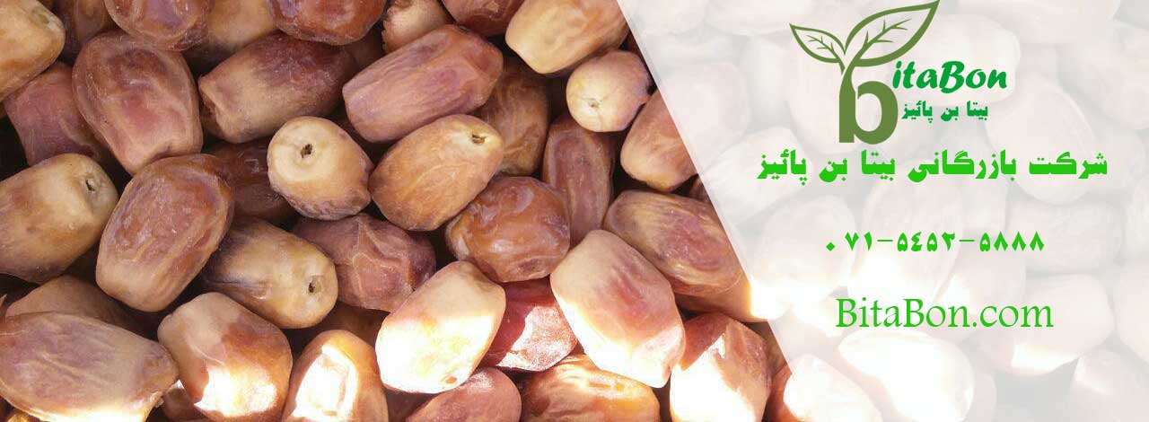 قیمت خرما زاهدی در بوشهر