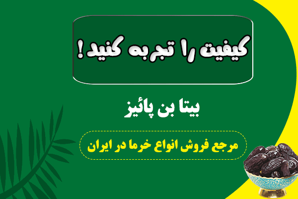 فروش عمده خرما