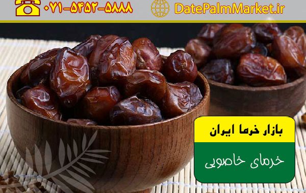 خرید خرمای خاصویی بوشهر از باغ