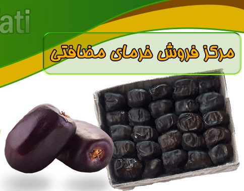 پخش خرما مضافتی با کیفیت