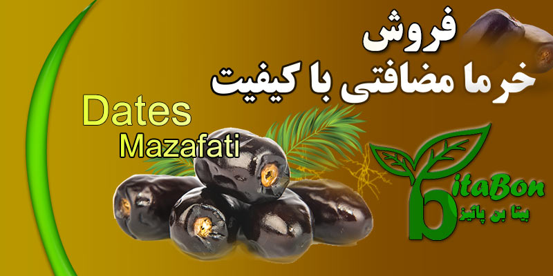 فروش خرما مضافتی